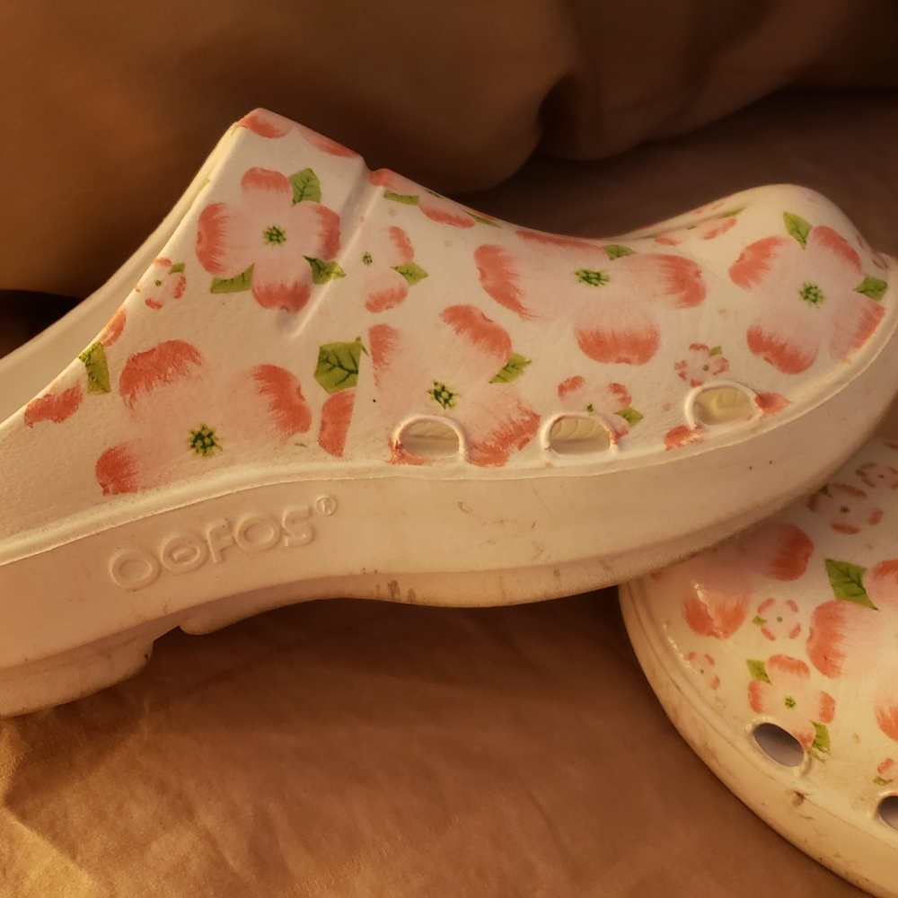 Ofos slides